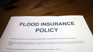 flood policy